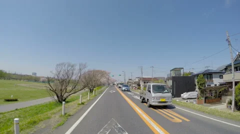 Riverside drive in blooming cherry blossoms. Stock Footage 61535567