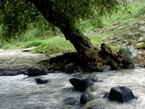 Riverside Stock Footage 490151