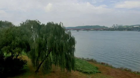 The riverside: Vidéo 80191141