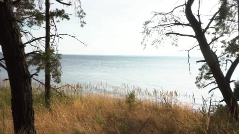 Riverside Stock Footage 289664558