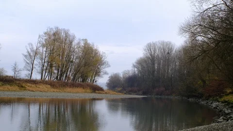 Riverside forest at the danube river Stock Footage 126762412