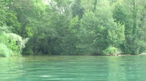 Riverside forest Stock Footage 798423