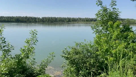 Riverside forest at the river inn Stock Footage 228365349
