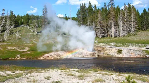 Riverside Geyser of Yellowstone Video stock 24491814