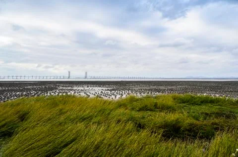 Riverside grass and distant bridge Stock Photos
