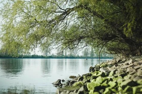 Riverside with green rocks Stock Photos