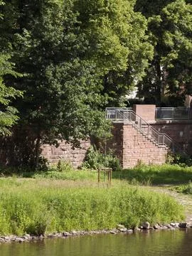 Riverside green space with young tree and stone embankment Stock Photos