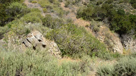 Riverside Hills Stock Footage 32221275