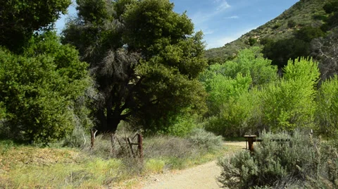 Riverside Hills Stock Footage 32222622