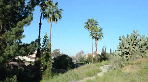 Riverside Hills Stock Footage 32241583