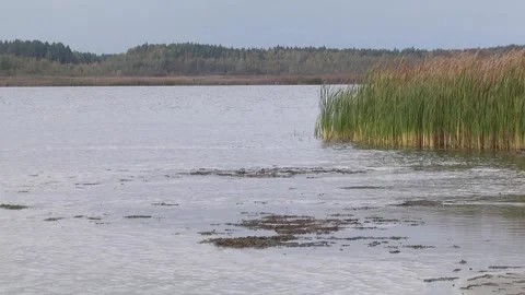 Riverside Landscape Stock Footage 123964490