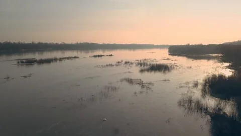 Riverside landscape in the morning. Video stock 124773362