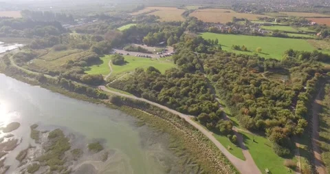 Riverside Marshland Stock Footage 232502510