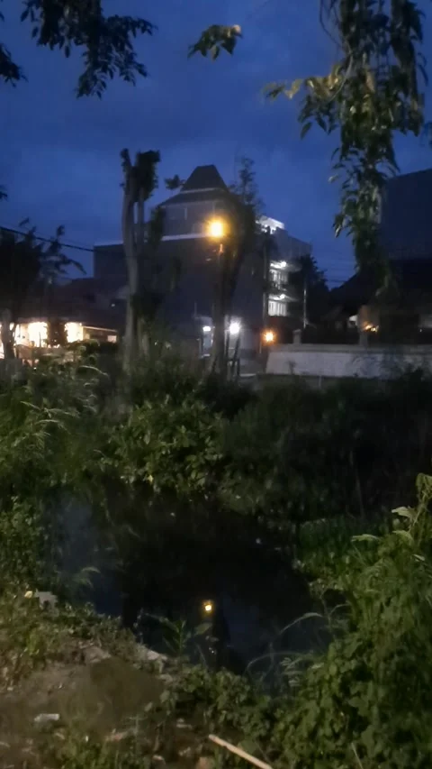 Riverside at Night, Vertical Footage Stock Footage 333985595