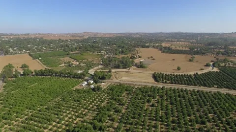 Riverside Orchards Video stock 277297542