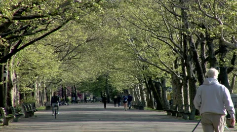 Riverside Park Stock Footage 49223857