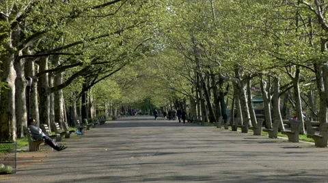 Riverside Park Stock Footage 49223872