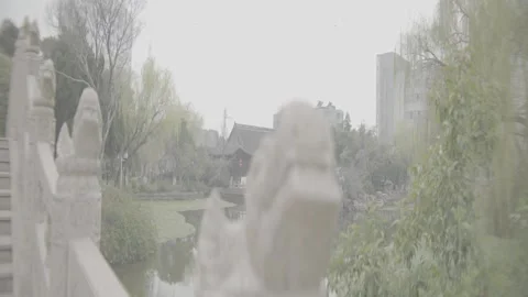 Riverside Park Greenery China 動画素材 337242220