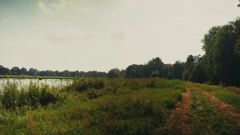 Riverside Path and Green Meadow in Spreewald, Germany Video stock 320738859
