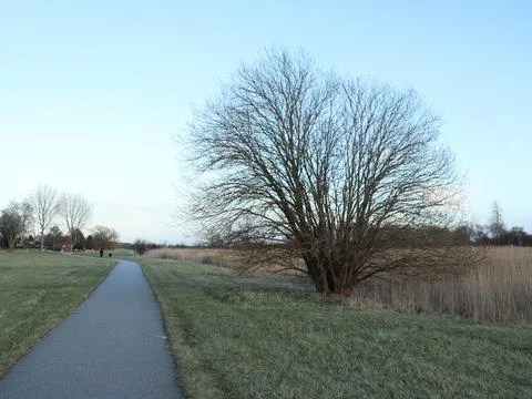 Riverside path Foto stock