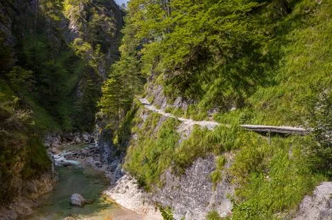 Riverside Path Through the Forest Stock Photos
