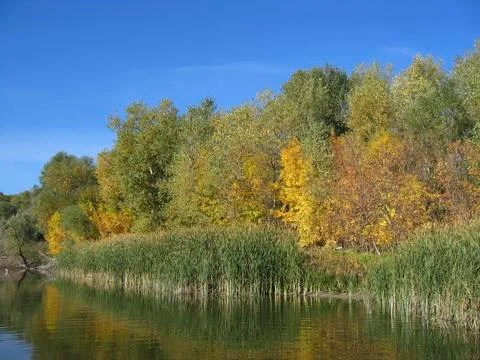 Riverside Stock Photos