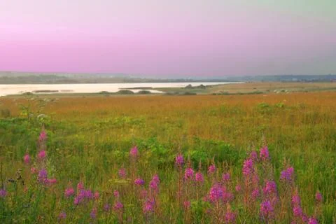 Riverside Stock Photos