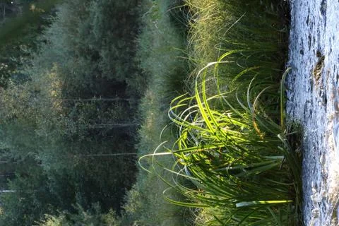 Riverside Stock Photos