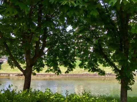 Riverside Foto stock