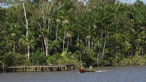 Riverside population Stock Footage 113467426