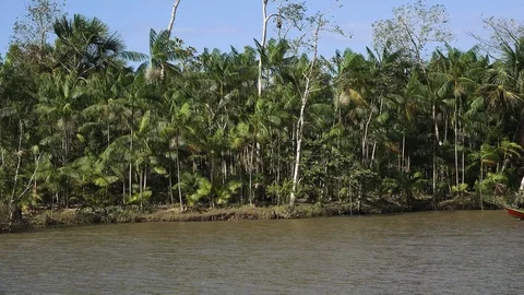 Riverside population Stock Footage 113467446