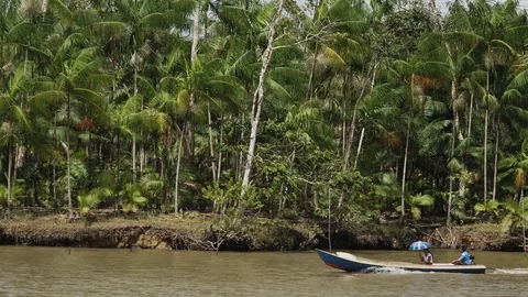 Riverside population Stock Footage 113467453