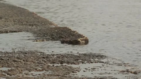 Riverside rock Stock Footage 10864706