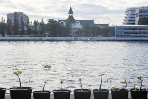 Riverside Scene Stock Photos