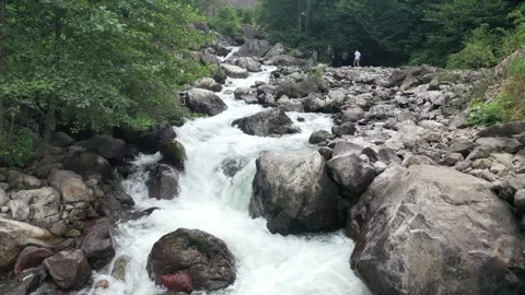 Riverside Serenity: Crystal-Clear Waters in Ultra HD Stock Footage 249184341