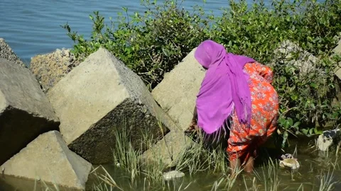 Riverside Shell Collection Work Done by a Local Woman Stock Footage 321574472