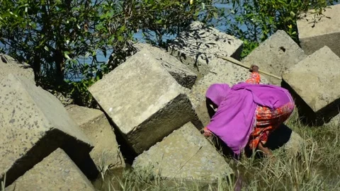 Riverside Shell Gathering Work Performed by Local Woman Stock Footage 321574868