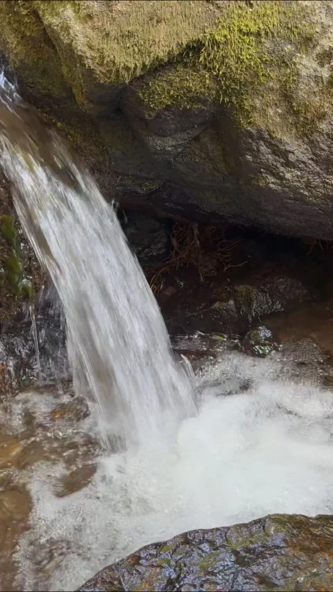 Riverside Shot 動画素材 294270193