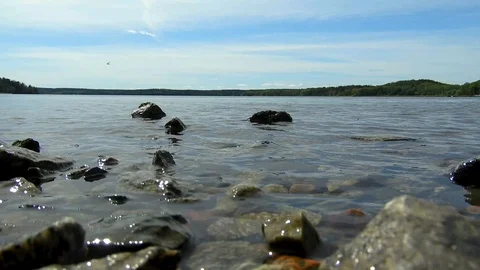 Riverside as small waves comes to the river shore Stock Footage 111508086