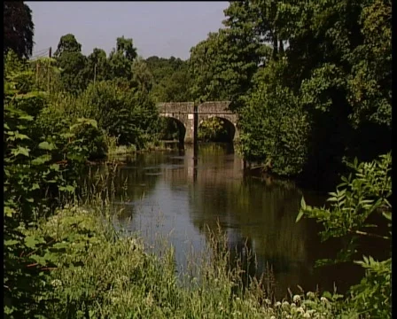 Riverside in Summer Stock Footage 688011