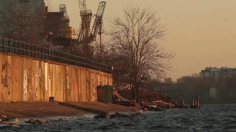 Riverside in sunset Stock Footage 10862190