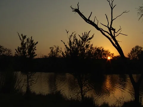 Riverside sunset 库存影片 126148287