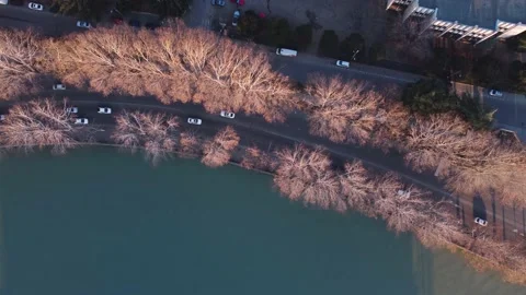 Riverside Traffic In The Sunset Stock Footage 168952326