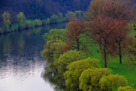 Riverside with Trees in Early Spring. Stock Photos