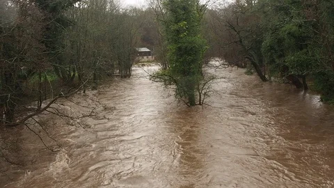 Riverside Trees Submerged By Fast Flowing Floodwater Stock Footage 91865828