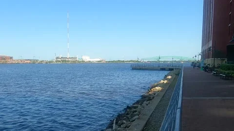 Riverside view Stock Footage 155506119