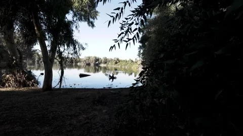 Riverside view surrounded by lush greenery and calm waters Stock Footage 301281631