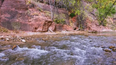 Riverside Walk along the Virgin River in Zion National Park, Utah Stock Footage 332021581