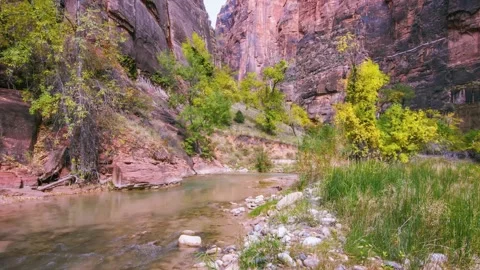 Riverside Walk along the Virgin River in Zion National Park, Utah, USA during th Stock Footage 332021657