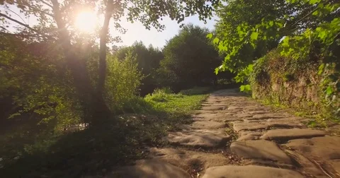 Riverside Walk in the Mourning Stock Footage 82706906